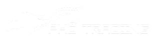 photrading-online